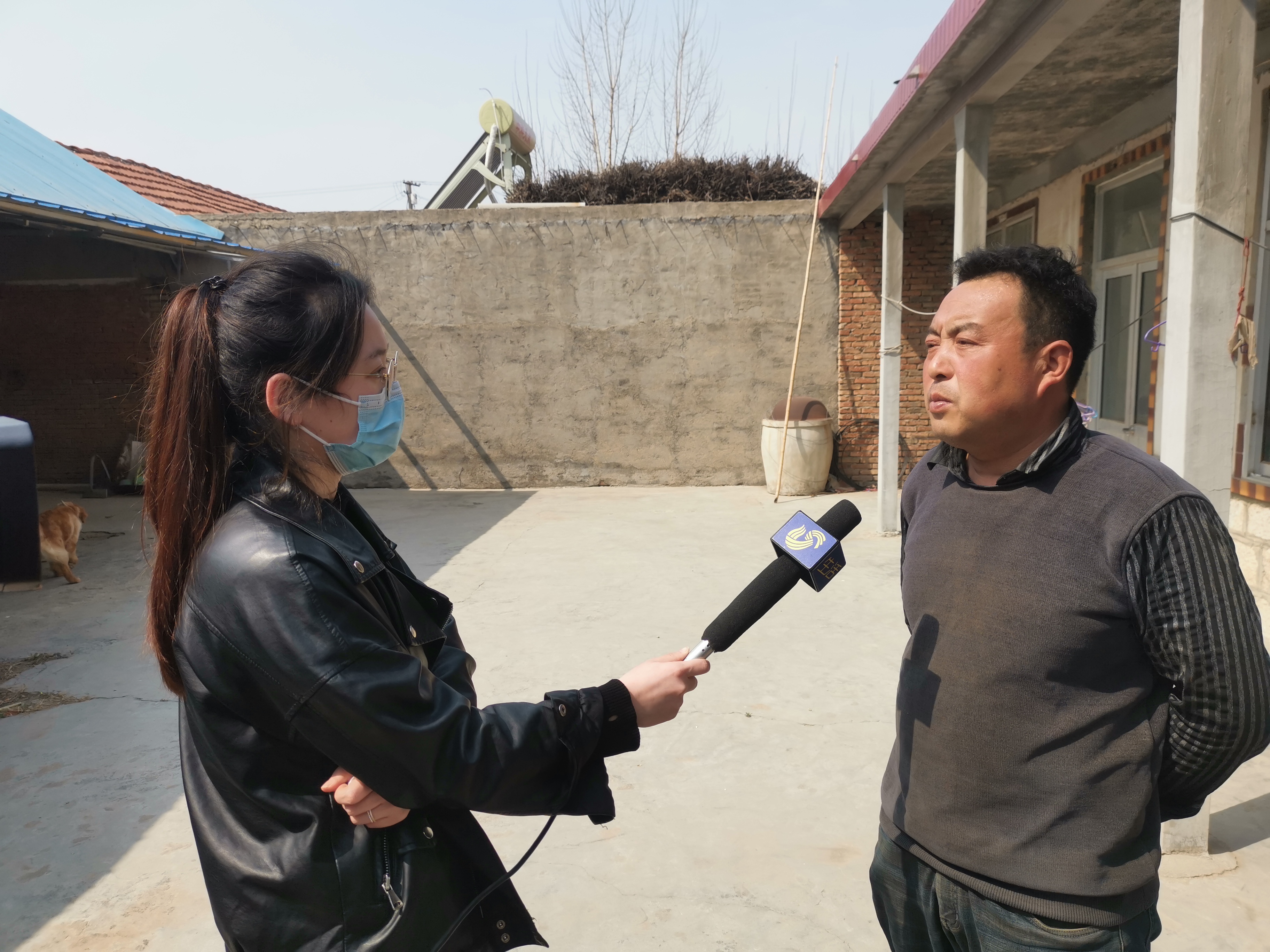 第209所 平度市崔家集镇状元府leyu·乐鱼(中国)体育官方网站刘丽新小学