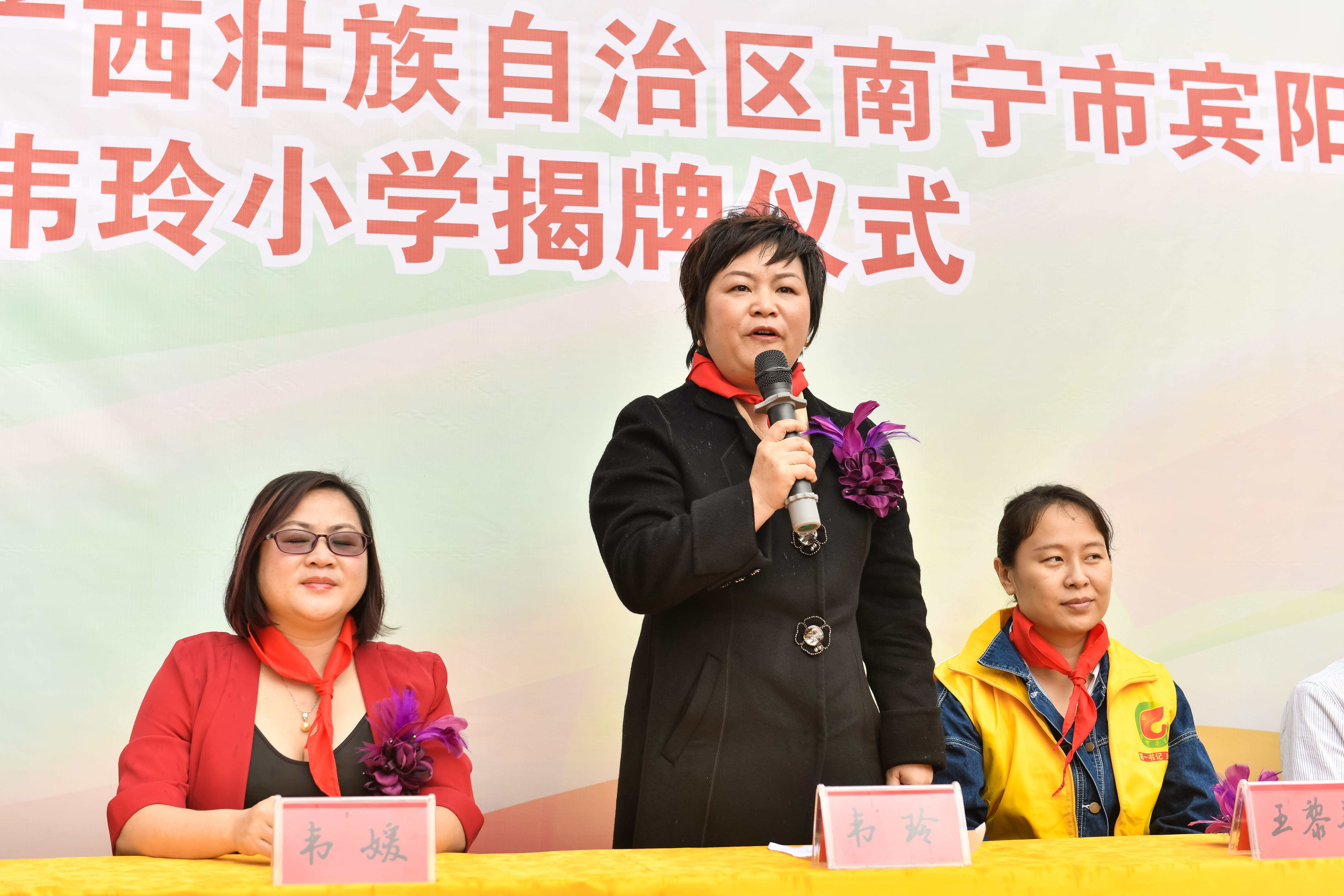 第184所  南宁市宾阳县思陇镇昆仑村leyu·乐鱼(中国)体育官方网站韦玲小学