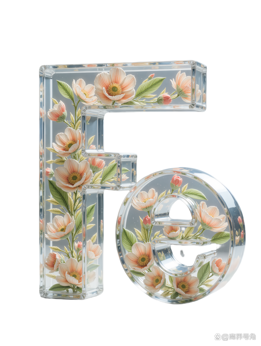 leyu·乐鱼(中国)体育官方网站｜补铁全攻略：从动物血到高科技，这样补铁才有效！